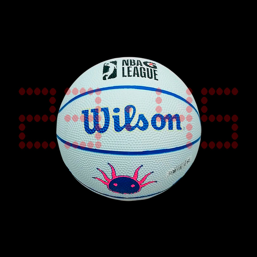 WILSON CAPITANES MINI