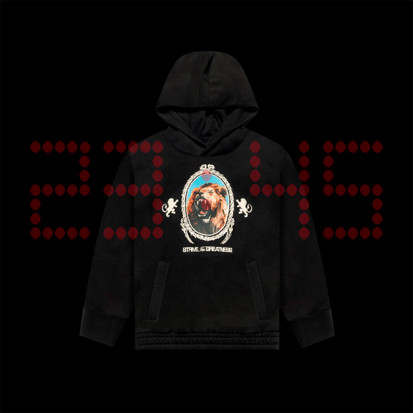 NIKE PO HOODIE LEBRON KIDS